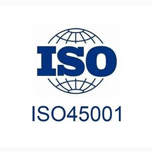 ISO 45001 – Occupational Health And Safety Management System
